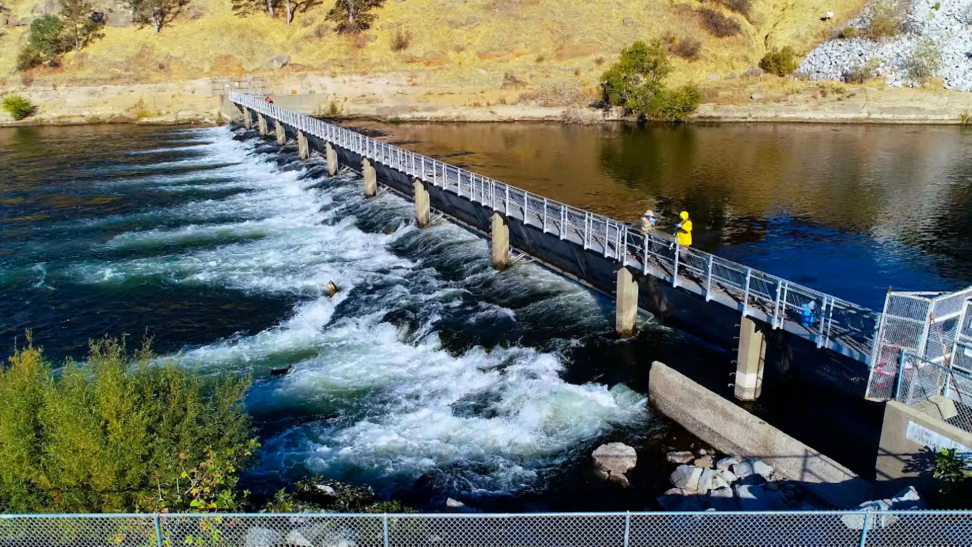 The Nimbus Fish Hatchery in Gold River.