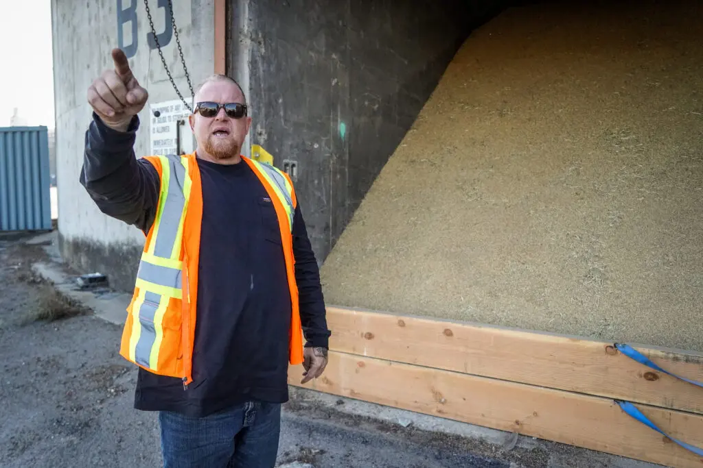 man in front of rice