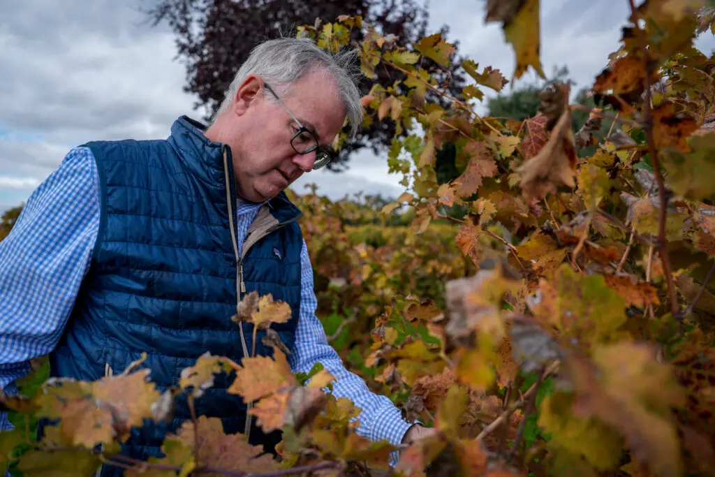 Stuart Spencer picking grapes