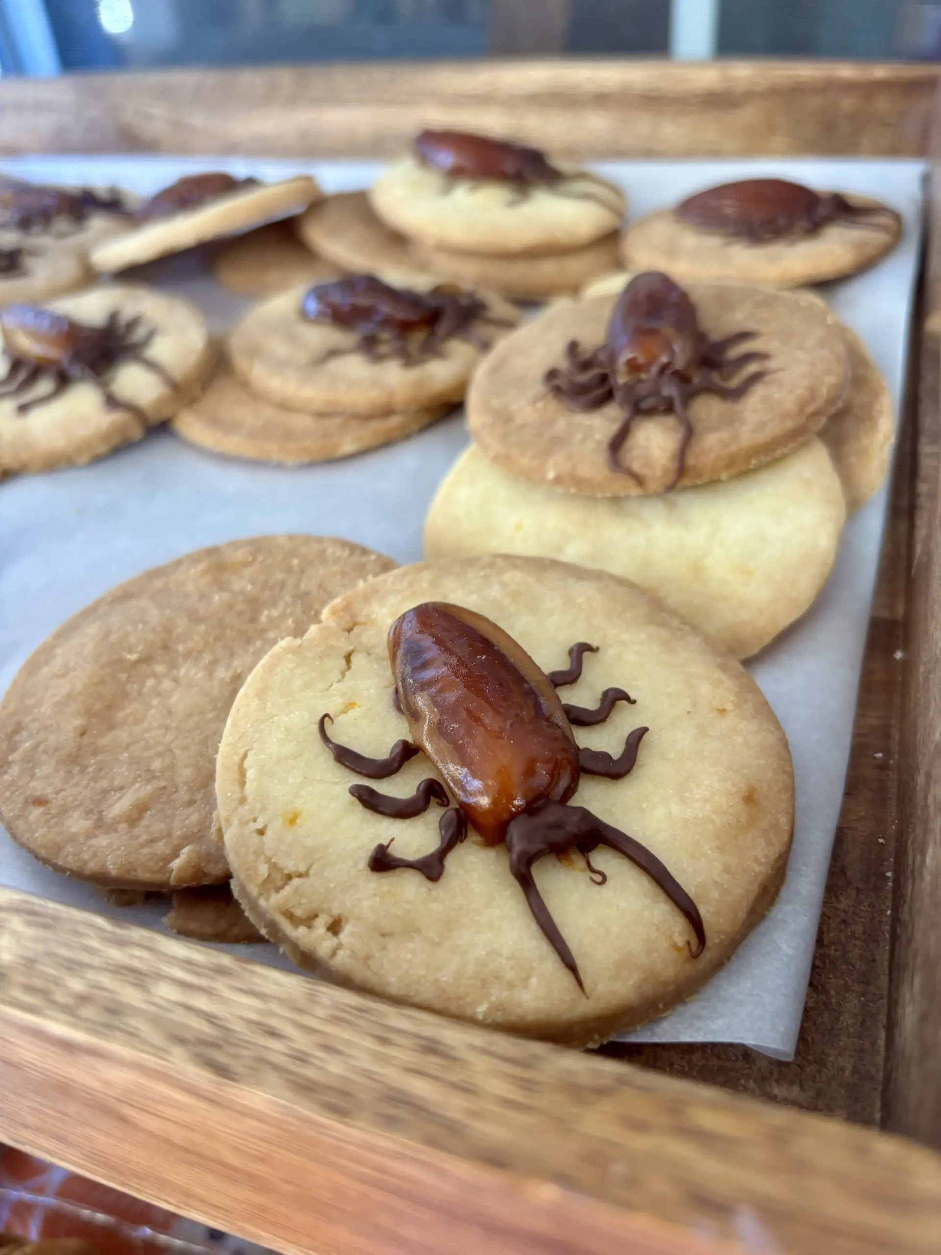 "Cockroach" cookies with dates, peanut butter and chocolate.