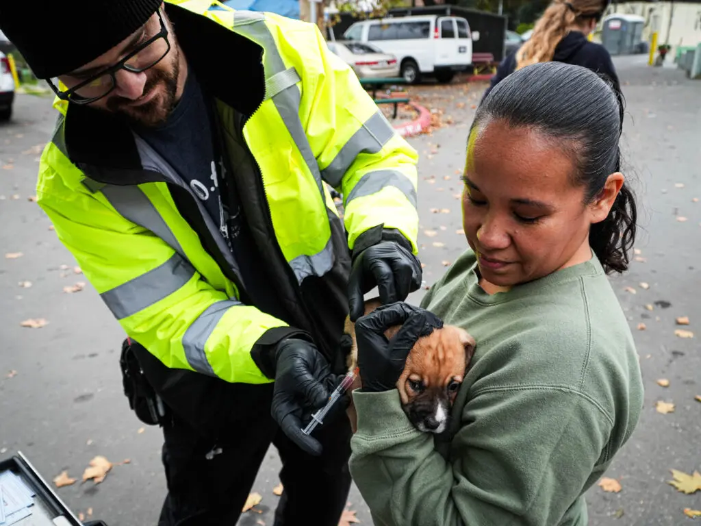 Two people give a dog a shot