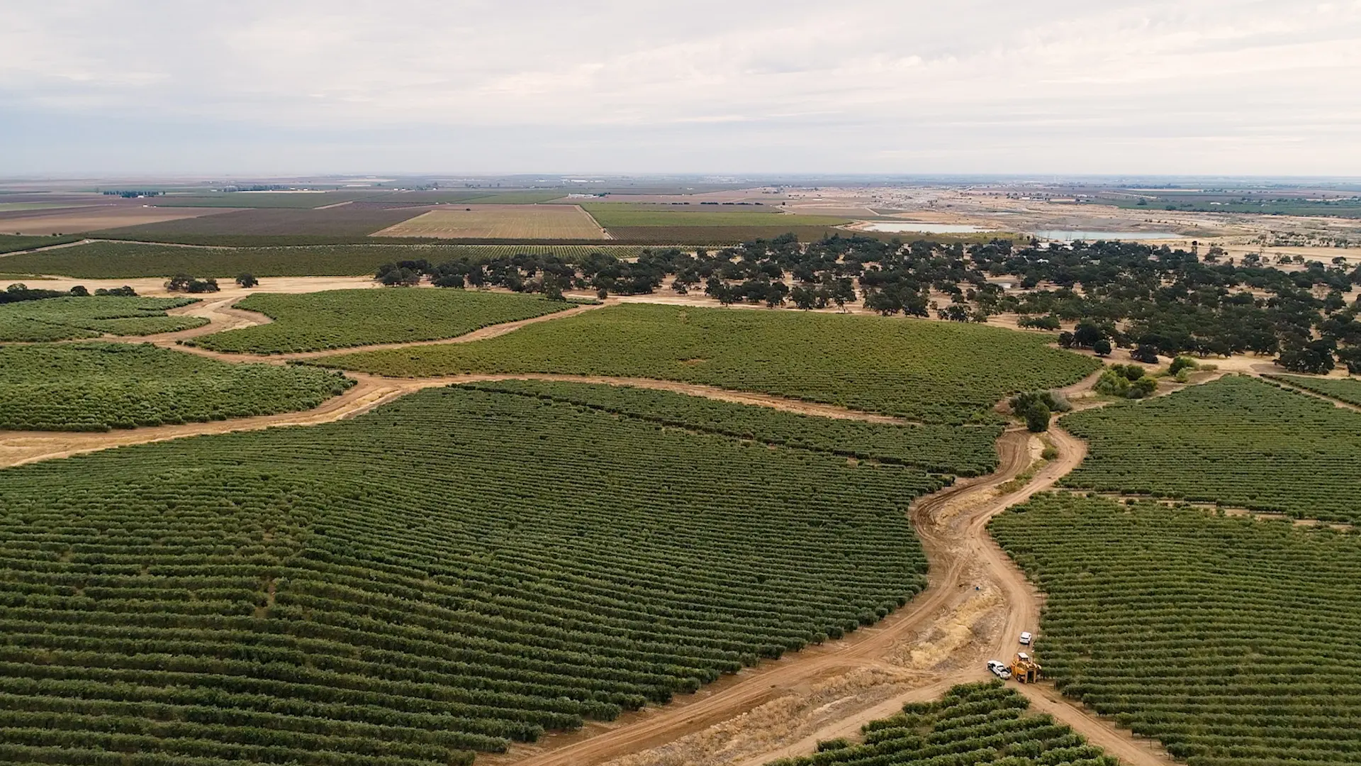 Agricultural land in Yolo County