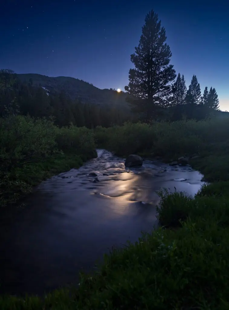Nighttime nature landscape