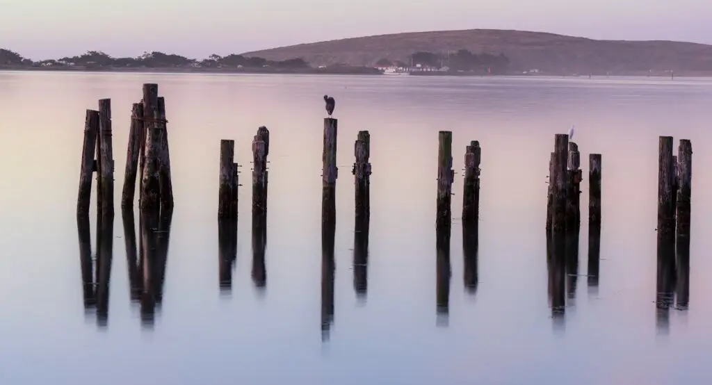 purple haze over water
