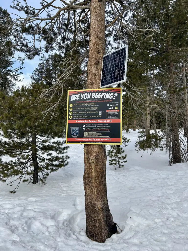 A sign on a tree in the snow that says Are you Beeping?