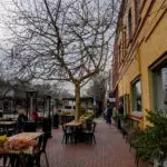 Downtown Winters on Feb. 10, 2026. Photo by Denis Akbari.