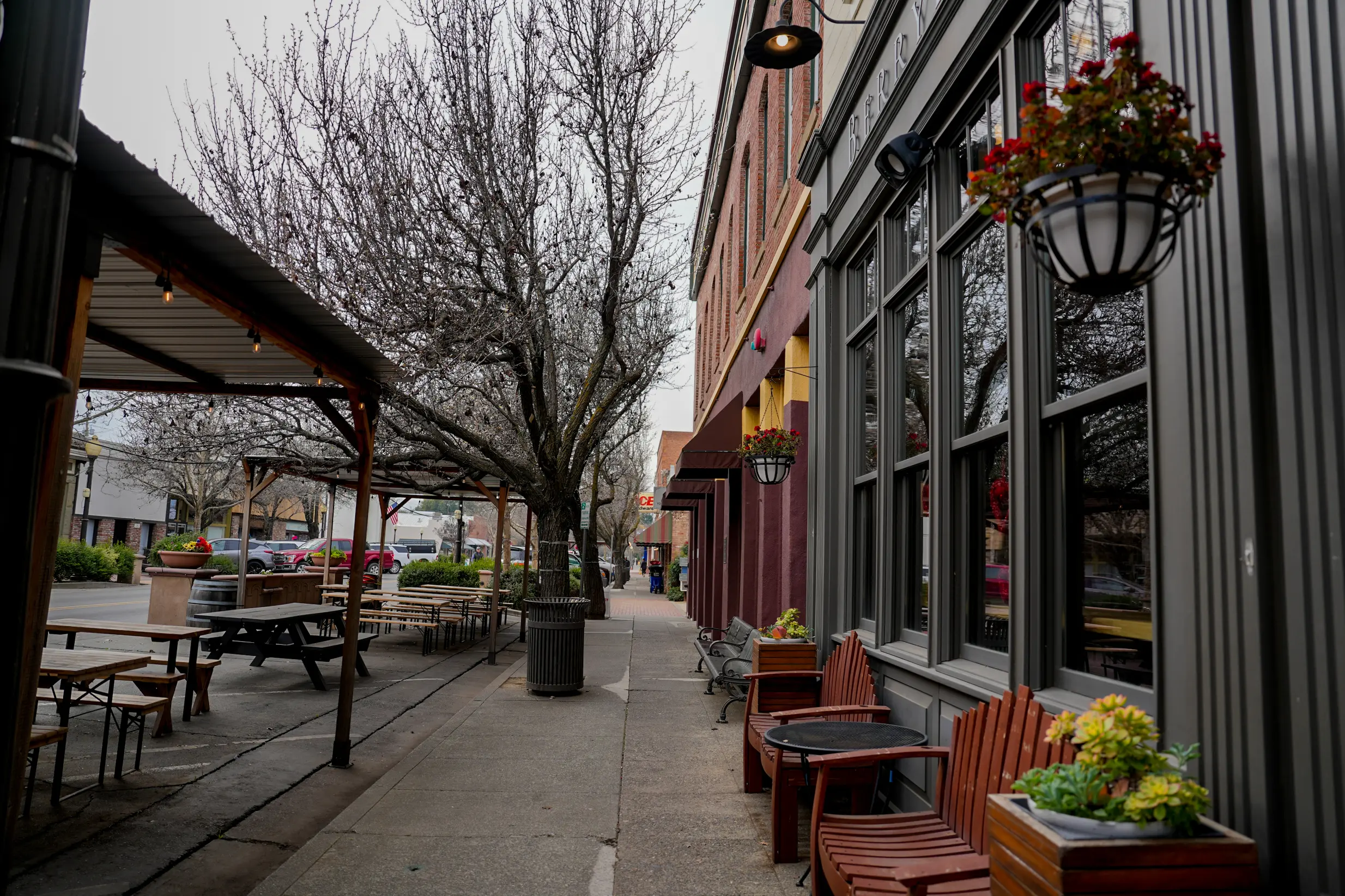 Downtown Winters on Feb. 10, 2026. Photo by Denis Akbari.