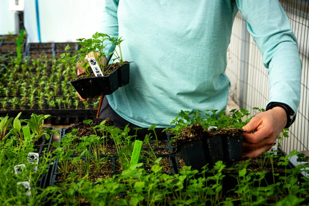 Woman holding plants