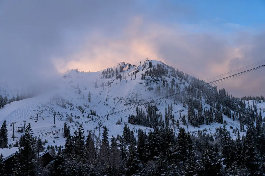 Fresh snow in Tahoe