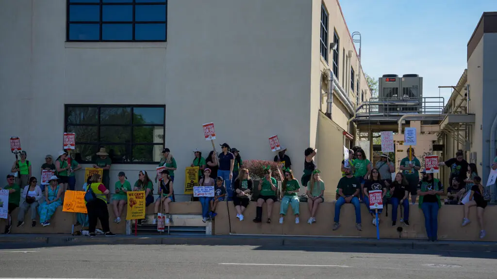 Teachers strike at Twin Rivers Unified School District on March 17, 2026. Photo by Denis Akbari.