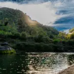 Putah Creek landscape