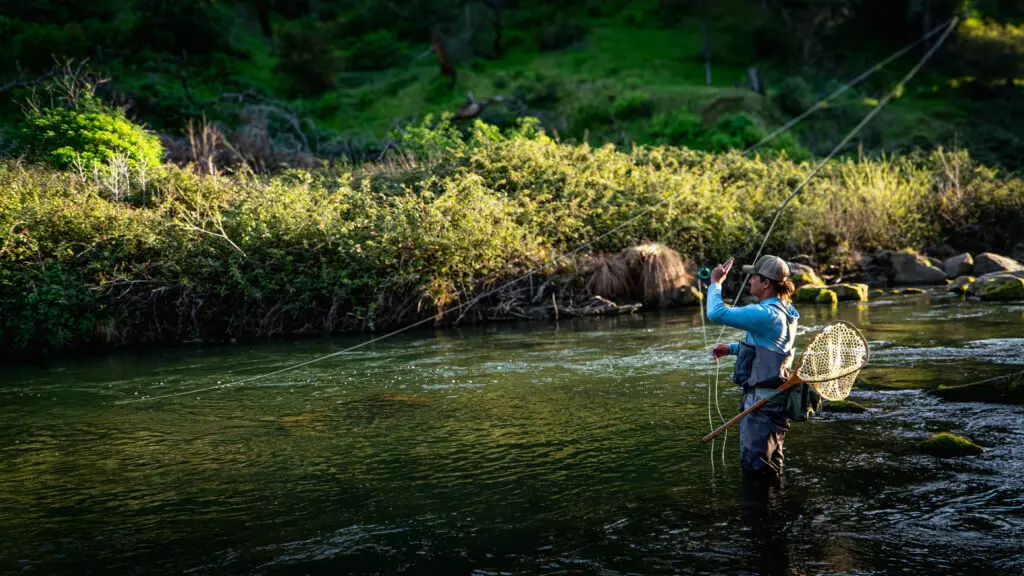 Fly Fisherman fishing in creek