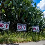 No on measure V signs in Davis on May 27, 2026. Photo by Denis Akbari.