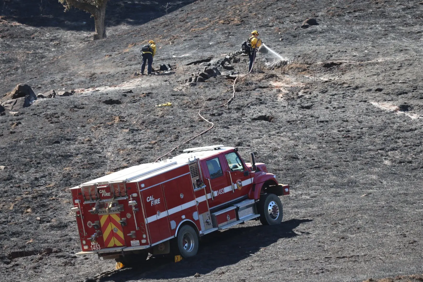 Firefighters on a burned hill