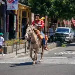 Man on horse