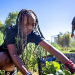 students working in garden