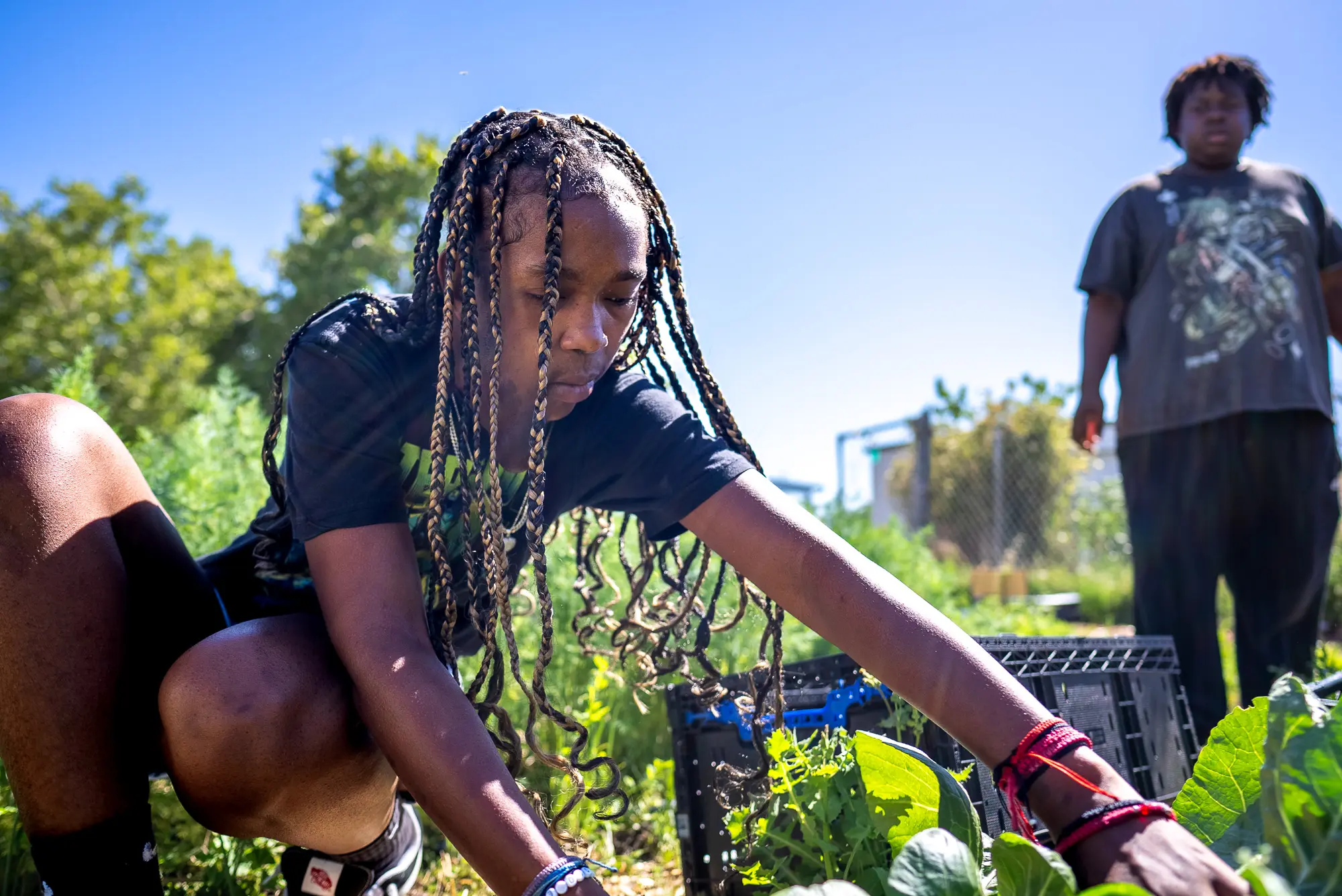 students working in garden