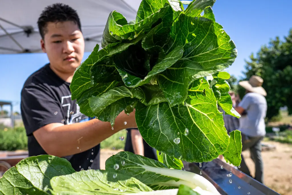 Student holding crop