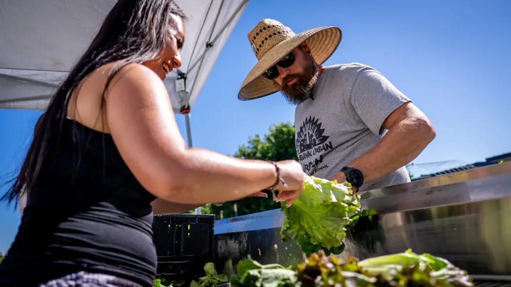 Man and girl looking at lettuce
