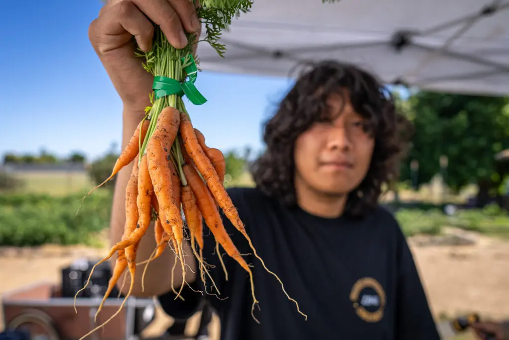 Kid holding up carrots