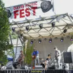 Davis Music Fest