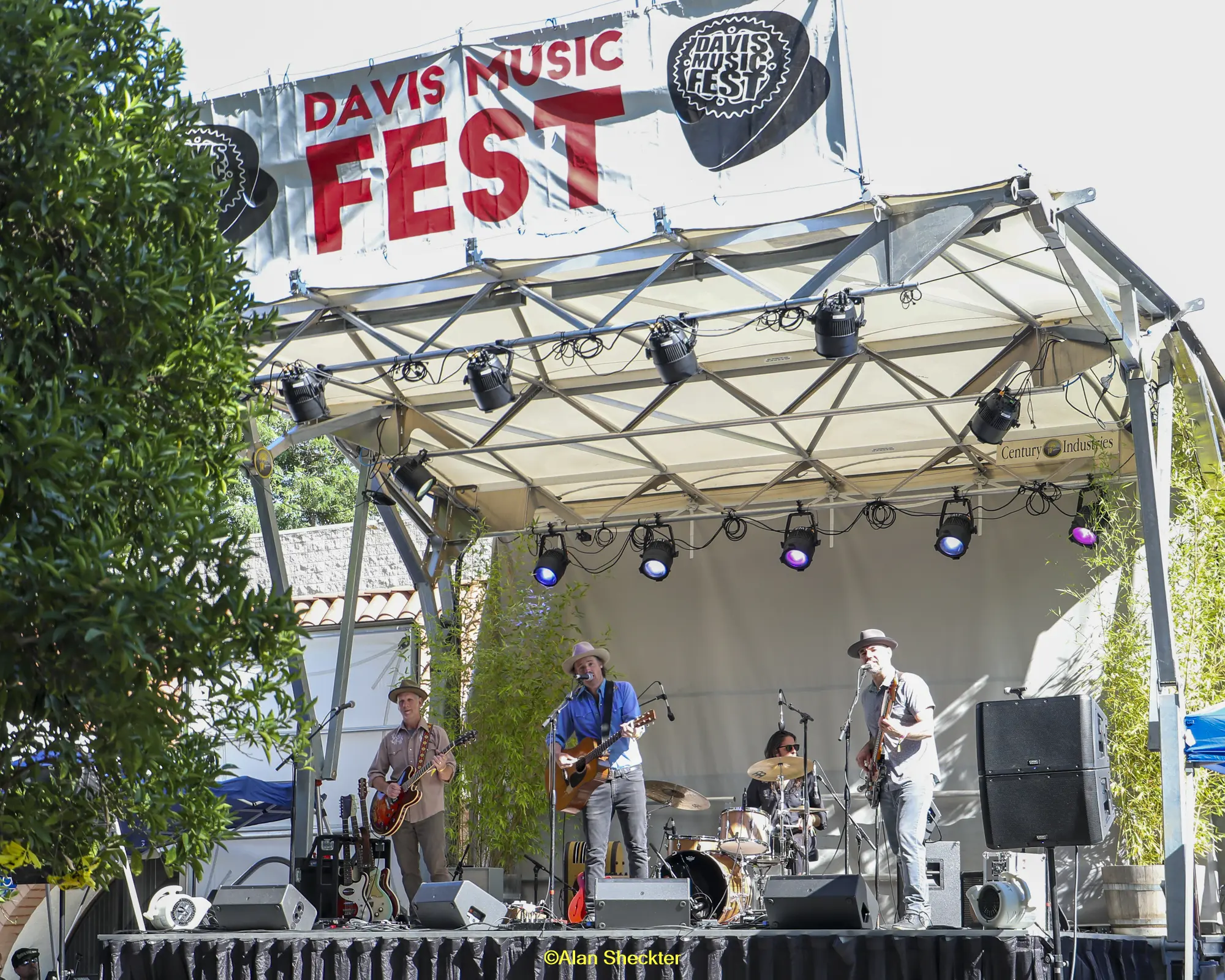Davis Music Fest