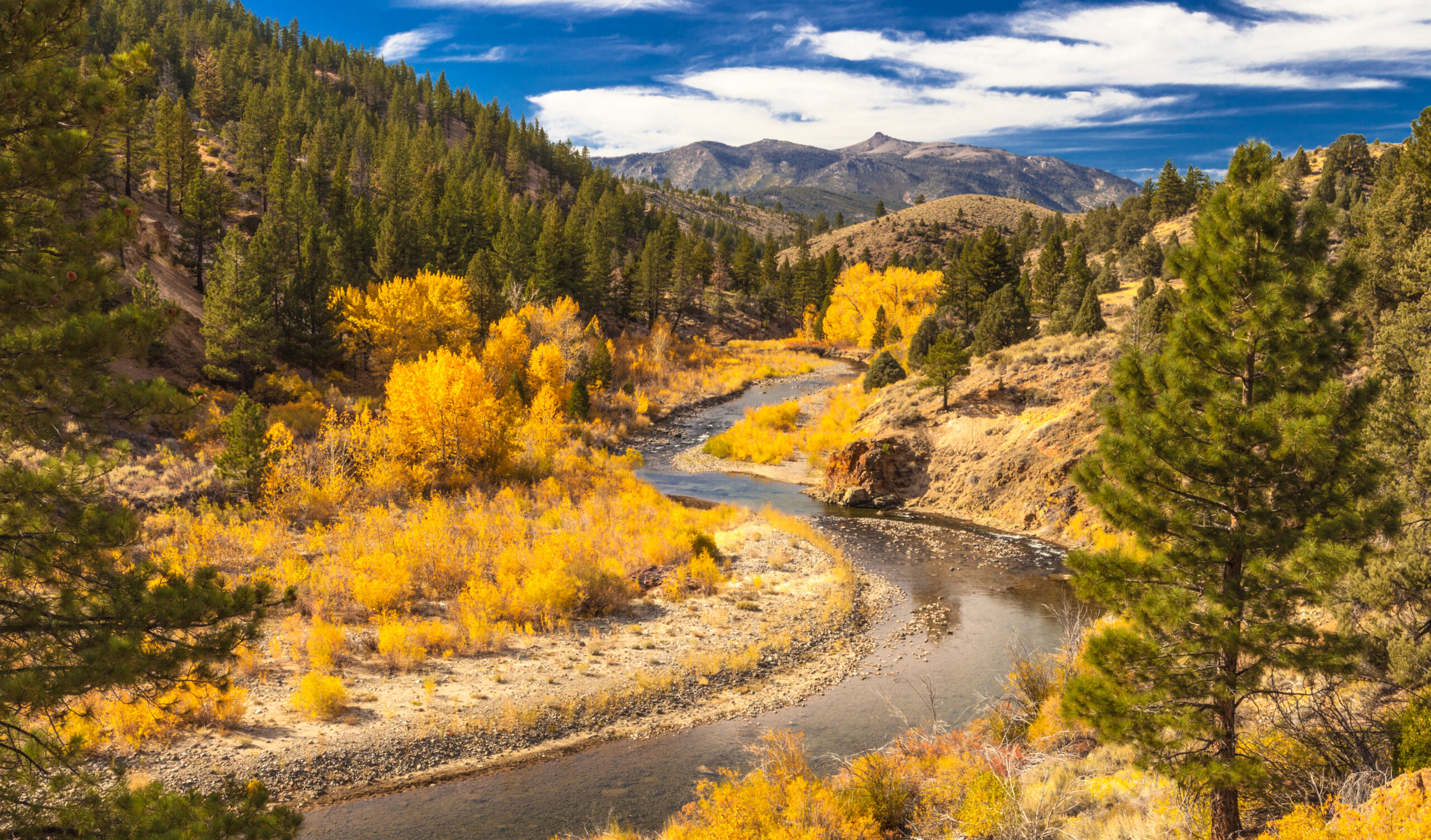 Fall colors on Carson Pass in the Tahoe region.