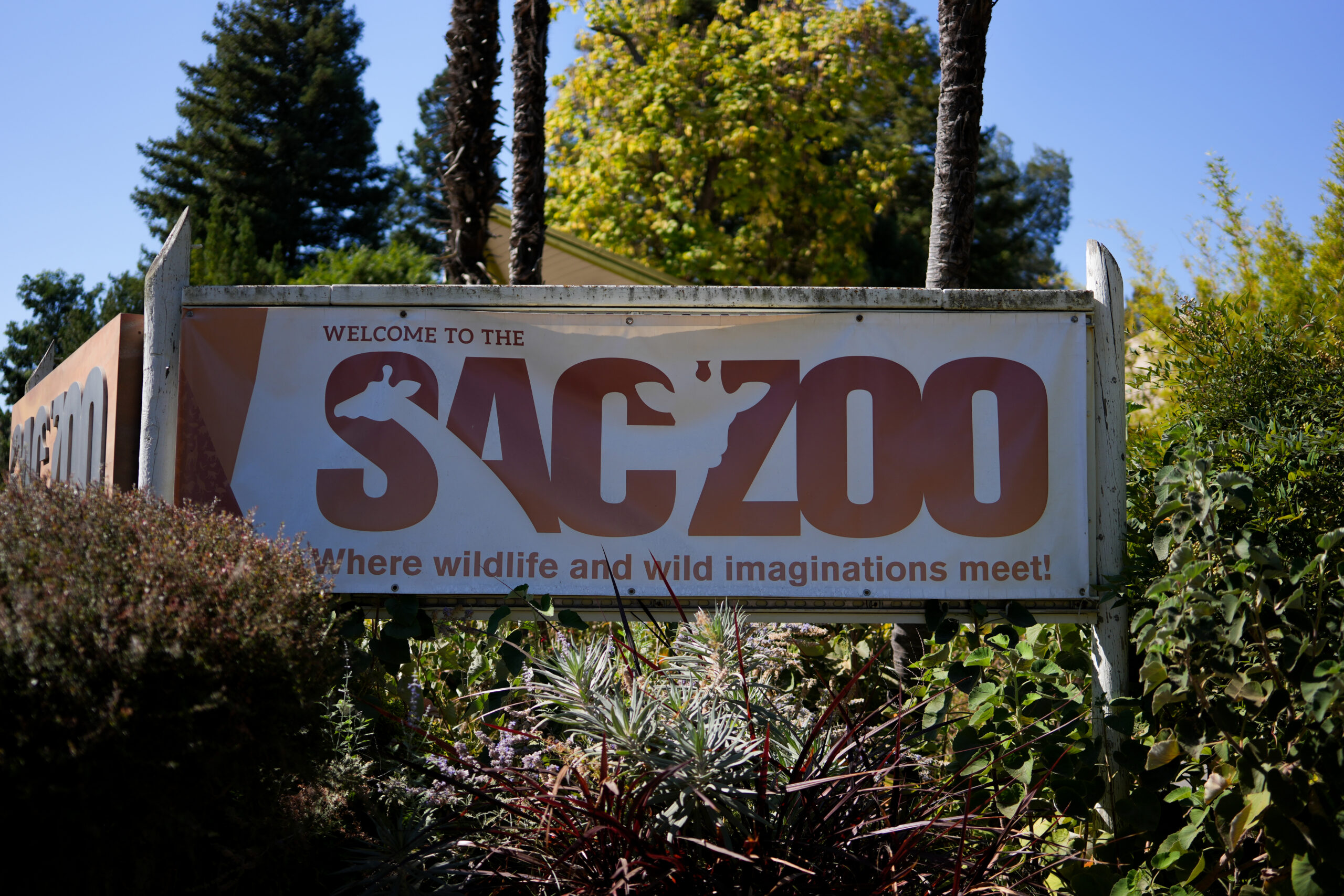 Welcome sign at the Sacramento Zoo. Photo by Denis Akbari.
