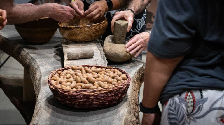 Attendees crush acorns at an interactive demo presented by Wilton Rancheria at Terra Madre Americas on Friday, Sept. 26 2025