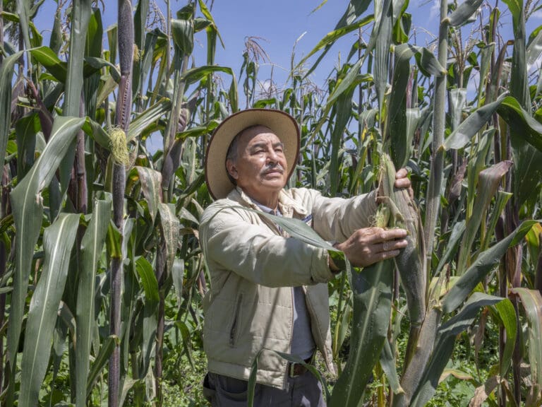 Slow Food farmer Benedicto Torres in Valle de Tuluca, Mexico. Slow Food officials say that people from Mexico, Colombia and Peru have been particularly wary of coming to Sacramento for Terra Madre this year.