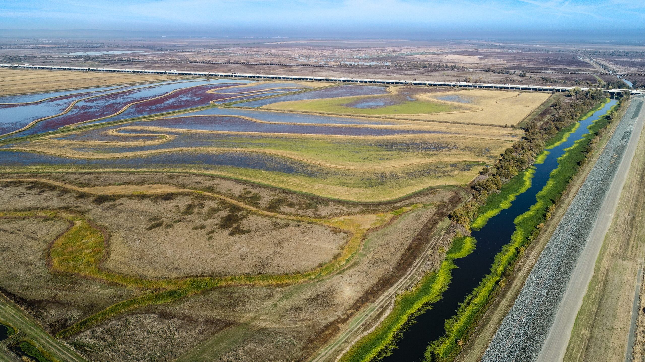 Water on the Yolo Bypass Wildlife Area.