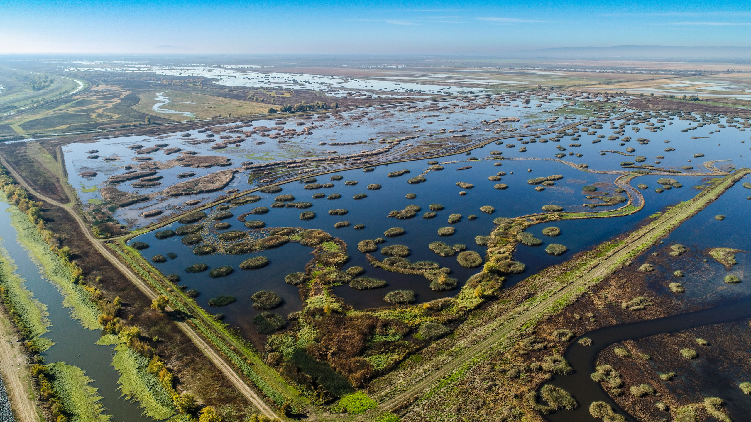 Water on Yolo Bypass Wildlife Area