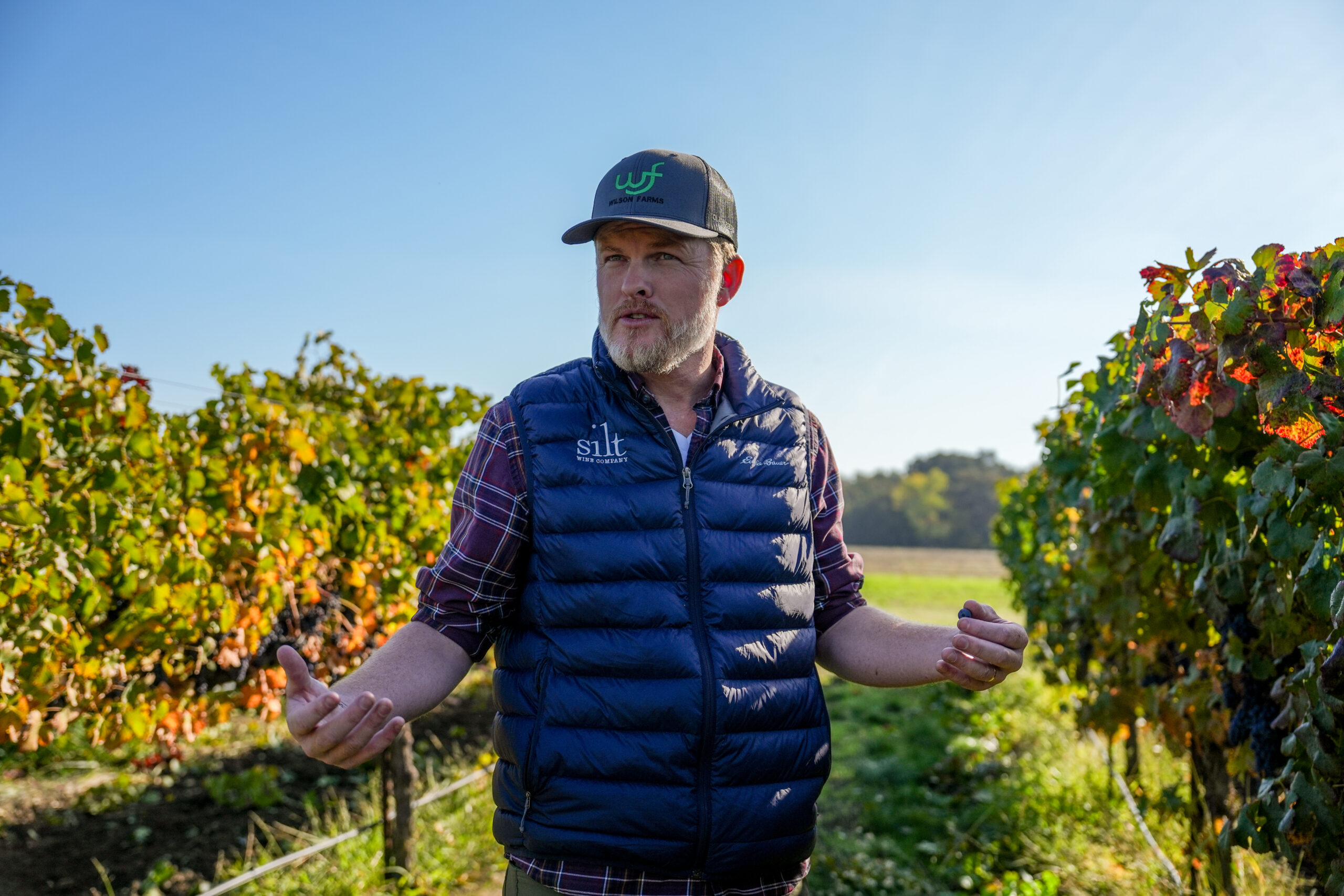David Ogilvie, fourth generation Clarksburg farmer and director of production at Silt Wine Company, at the vineyard in Clarksburg.