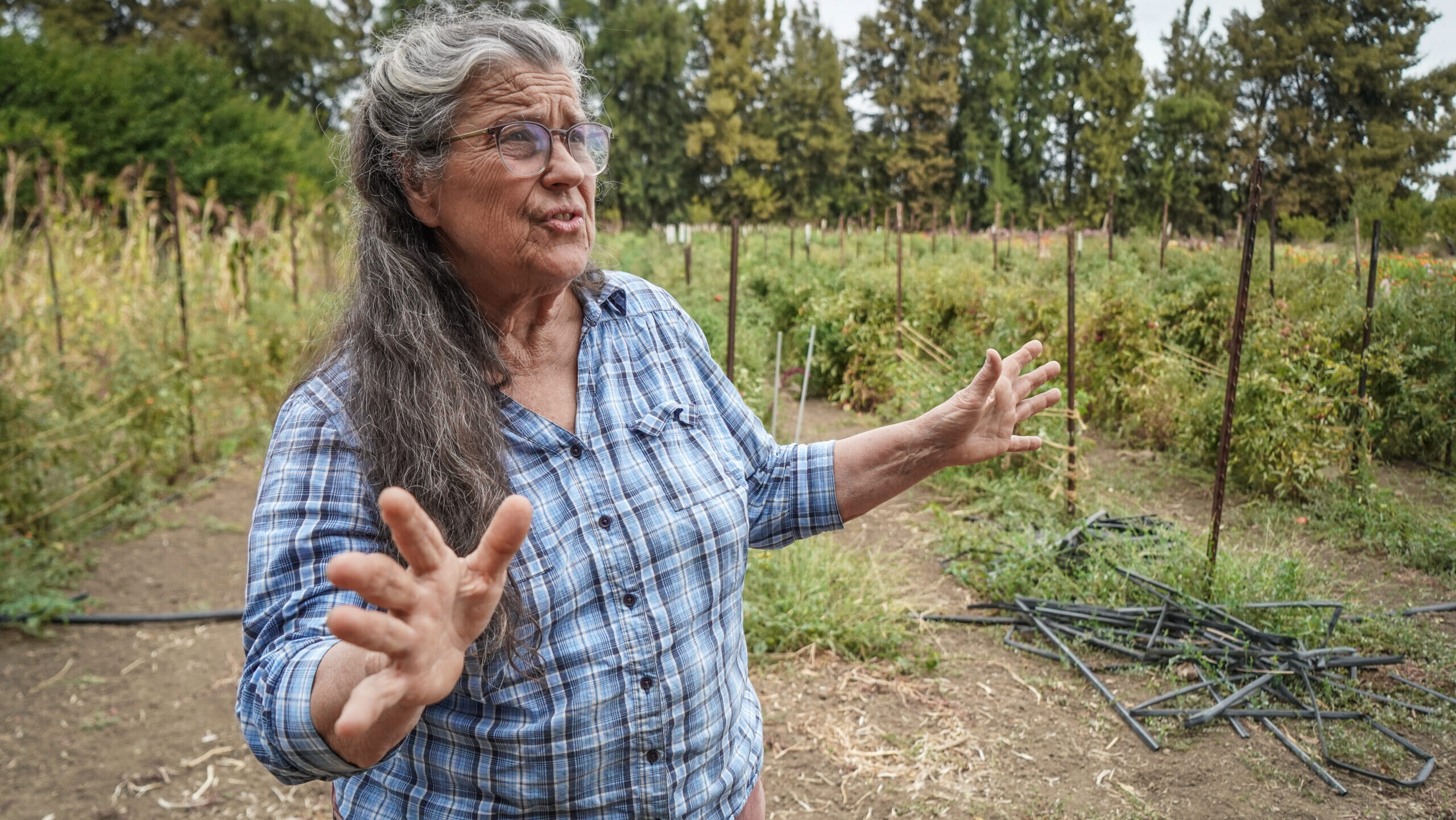 Annie Main of Good Humus Produce discusses the water challenges her farm is facing.