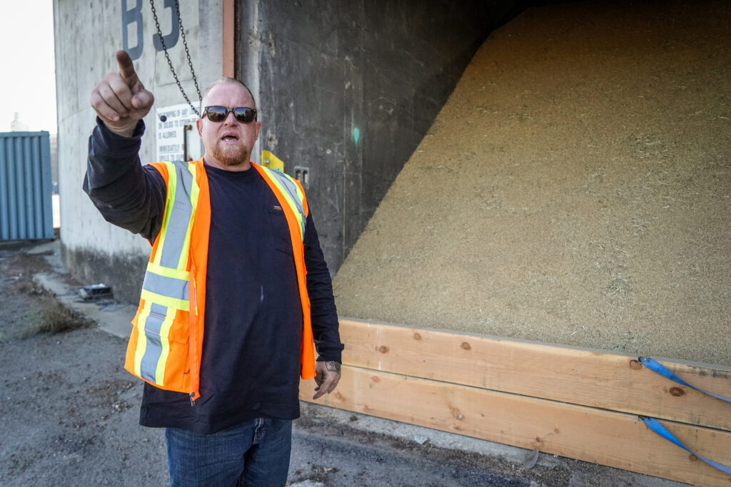 man in front of rice