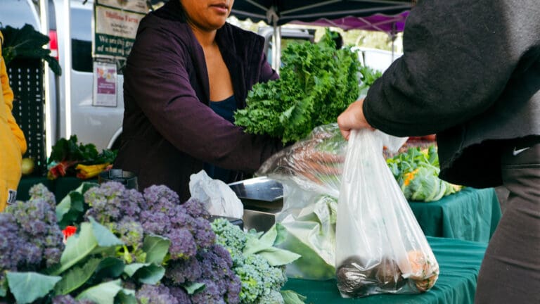 SNAP farmers market
