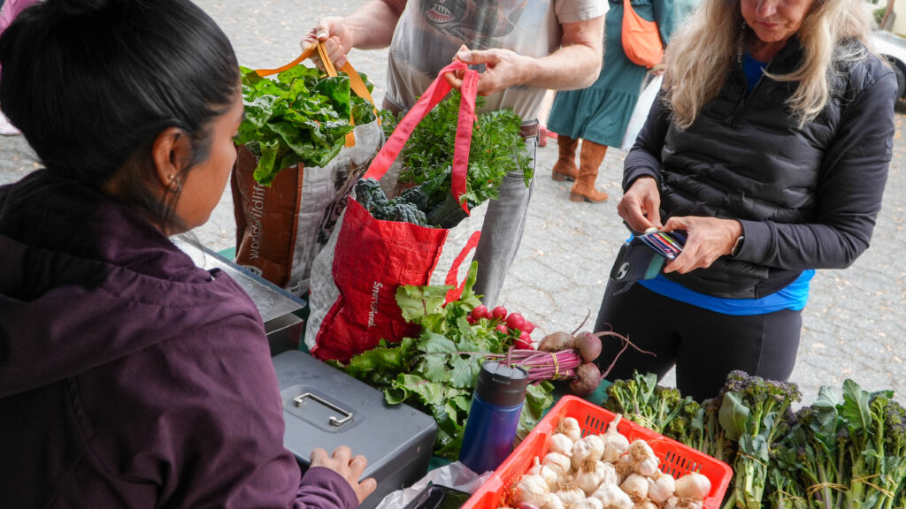 SNAP farmers market