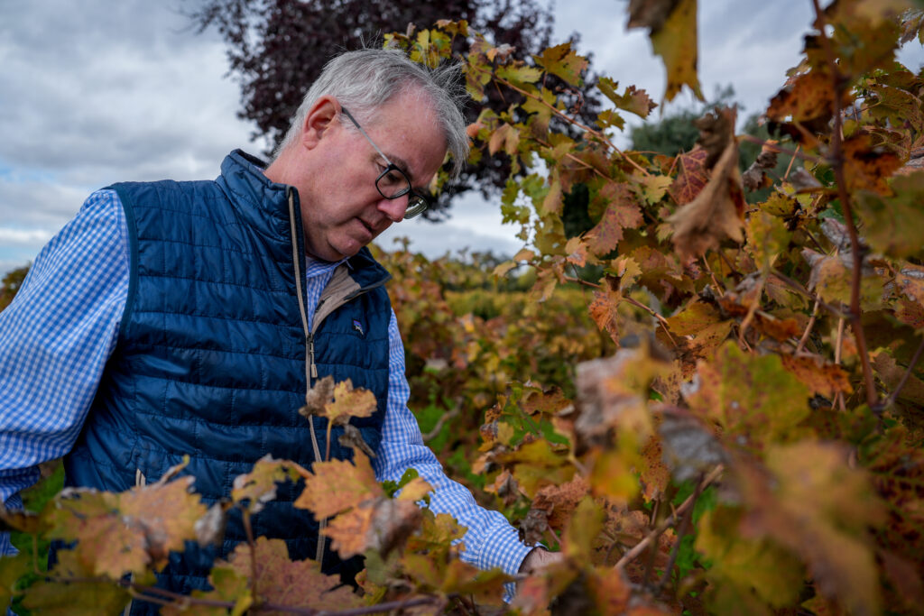 Stuart Spencer picking grapes
