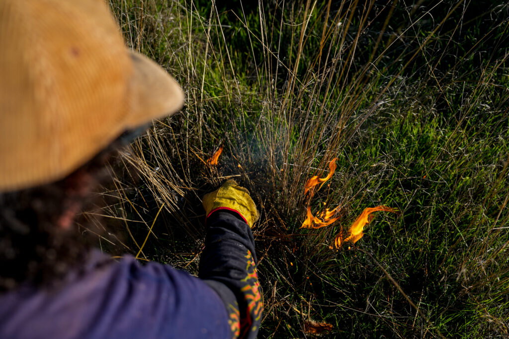 Dozens of fire professionals, tribal members and the public are spreading the flames at the Cache Creek Nature Preserve in Woodland on Nov. 7 during the Cultural Awareness Workshop.