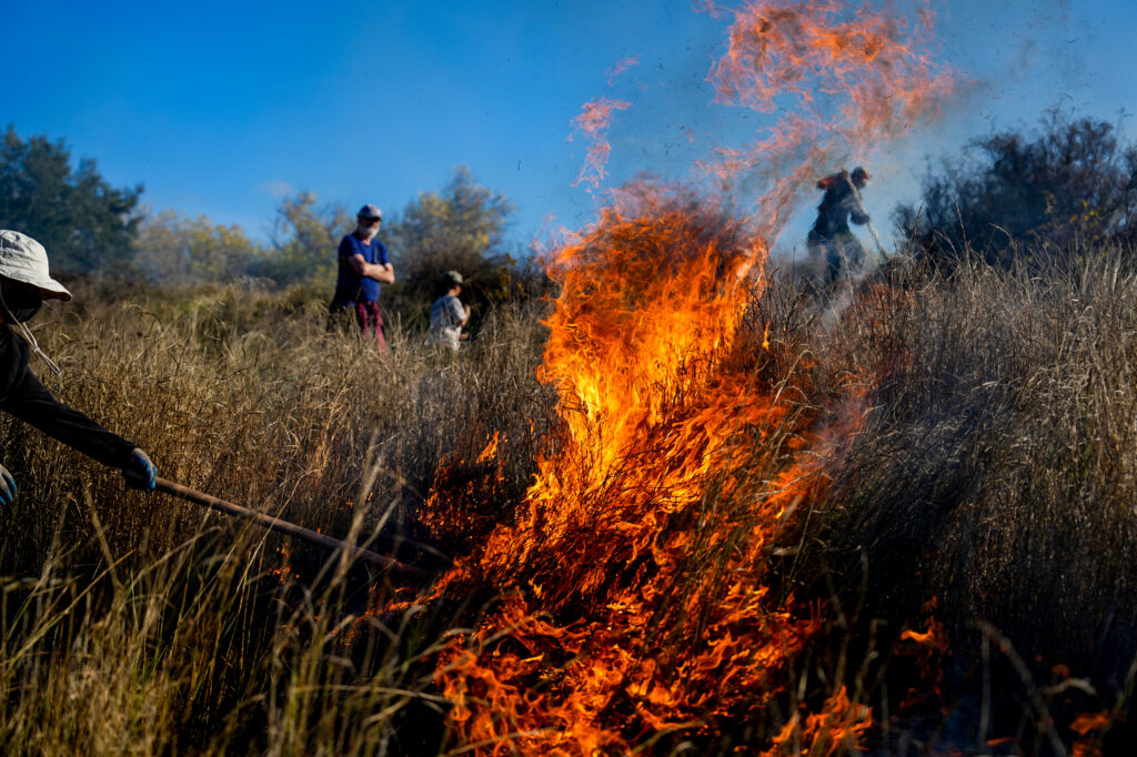 Dozens of fire professionals, tribal members and the public are spreading the flames at the Cache Creek Nature Preserve in Woodland on Nov. 7 during the Cultural Awareness Workshop.
