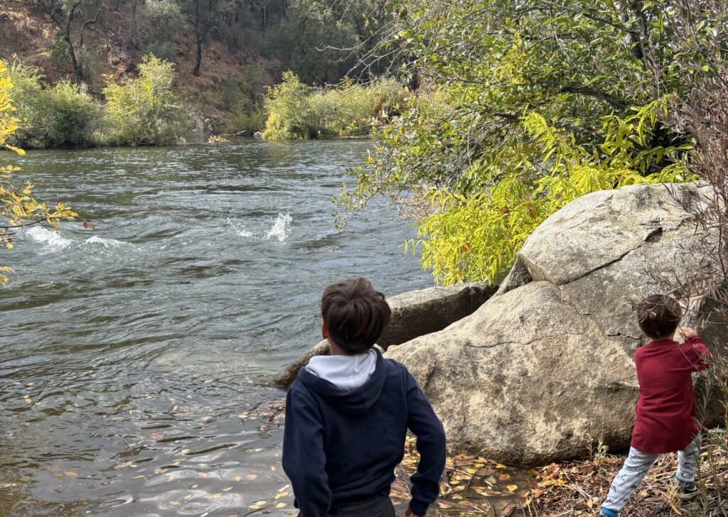 kids playing at a river