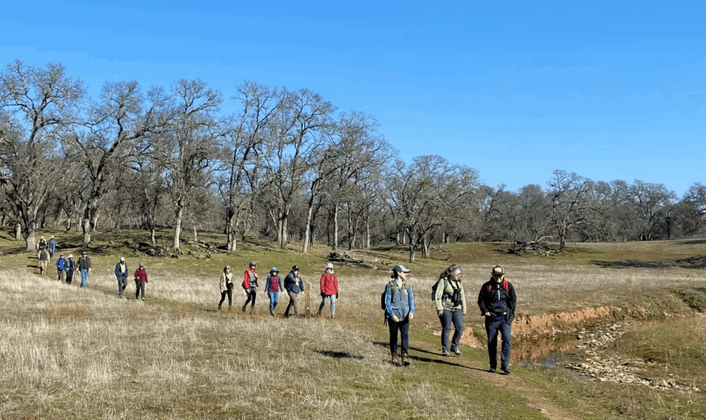 people hiking on a trail