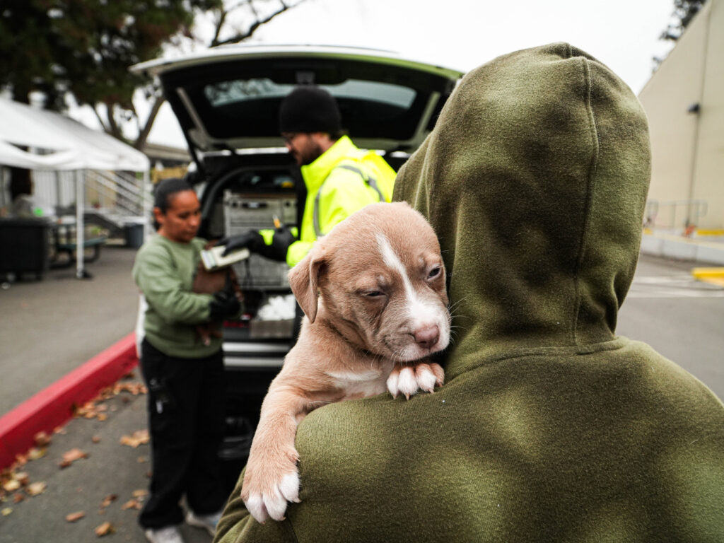 Two people work out of a van while a person holds a puppy