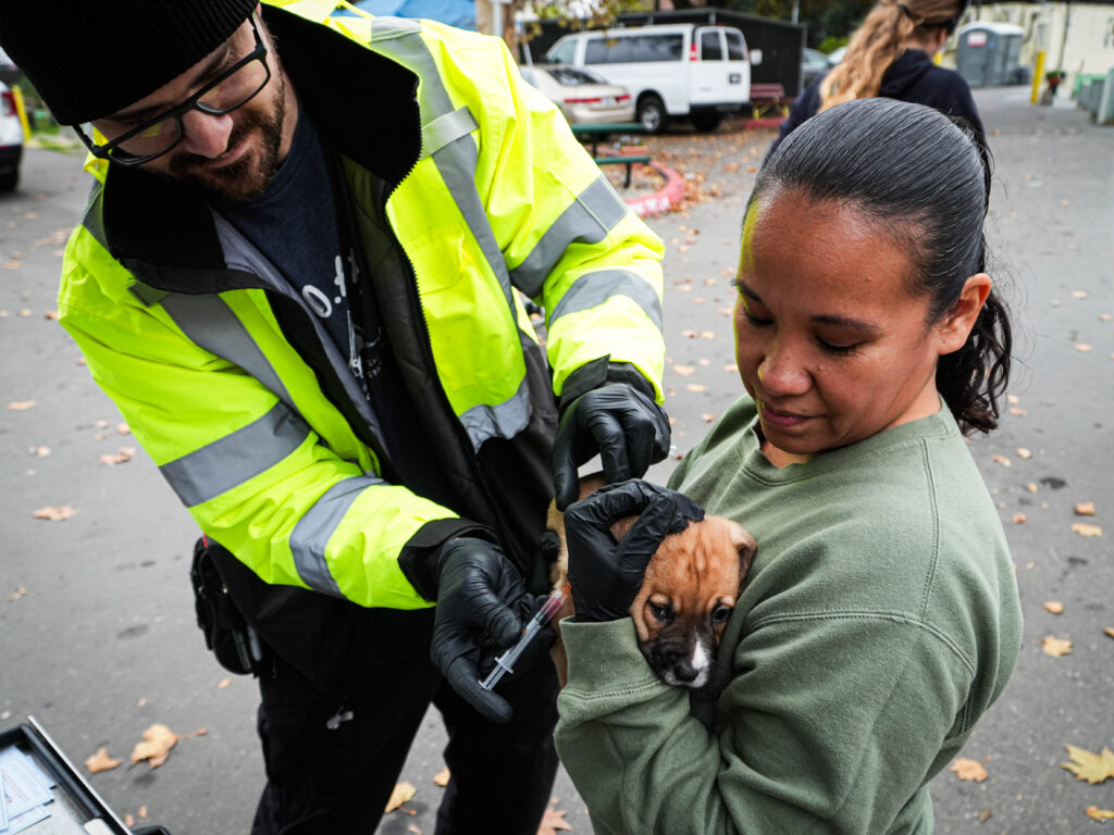 Two people give a dog a shot