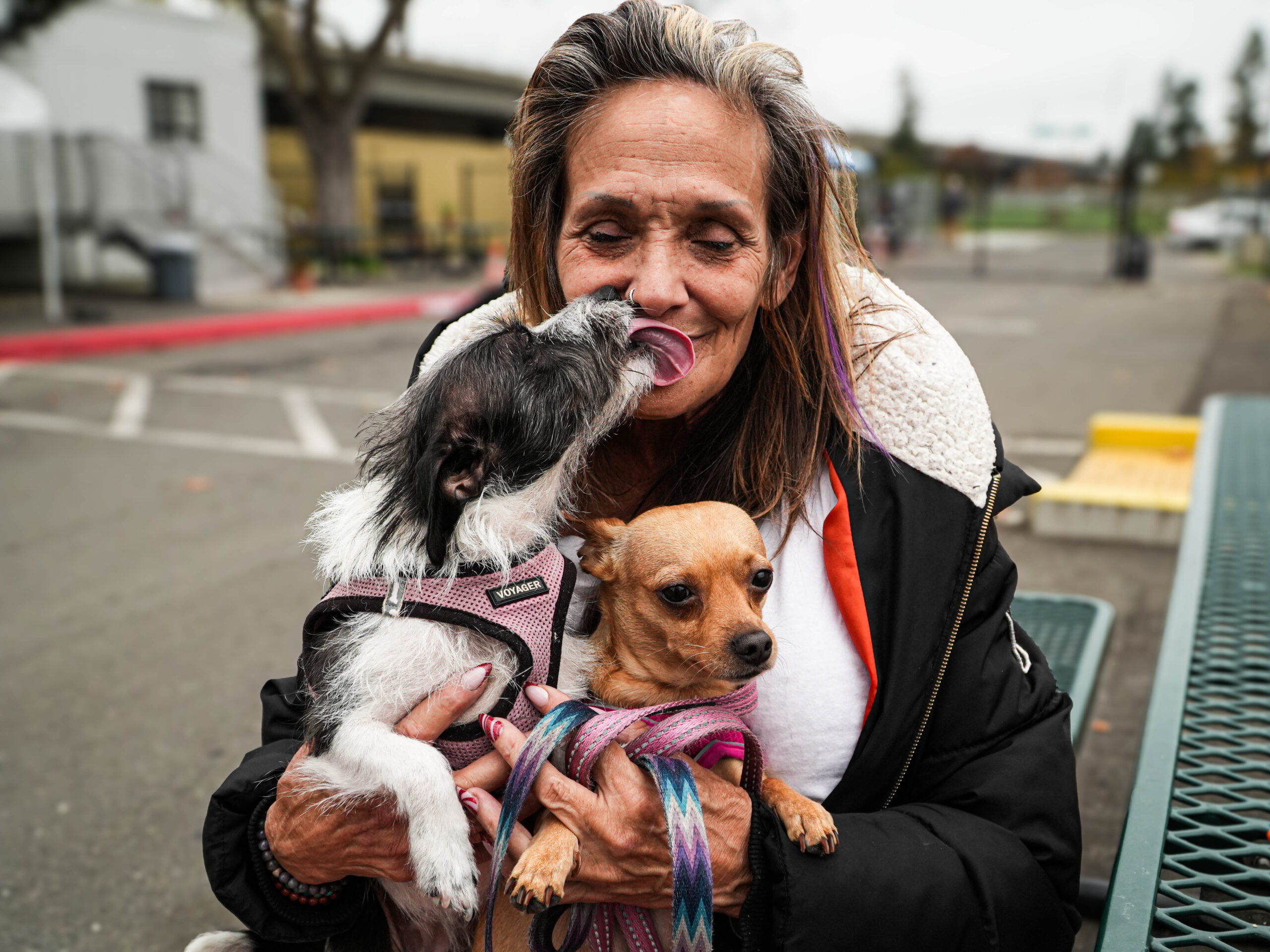 A homeless woman holds two dogs