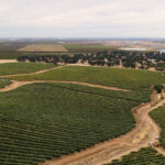 Agricultural land in Yolo County