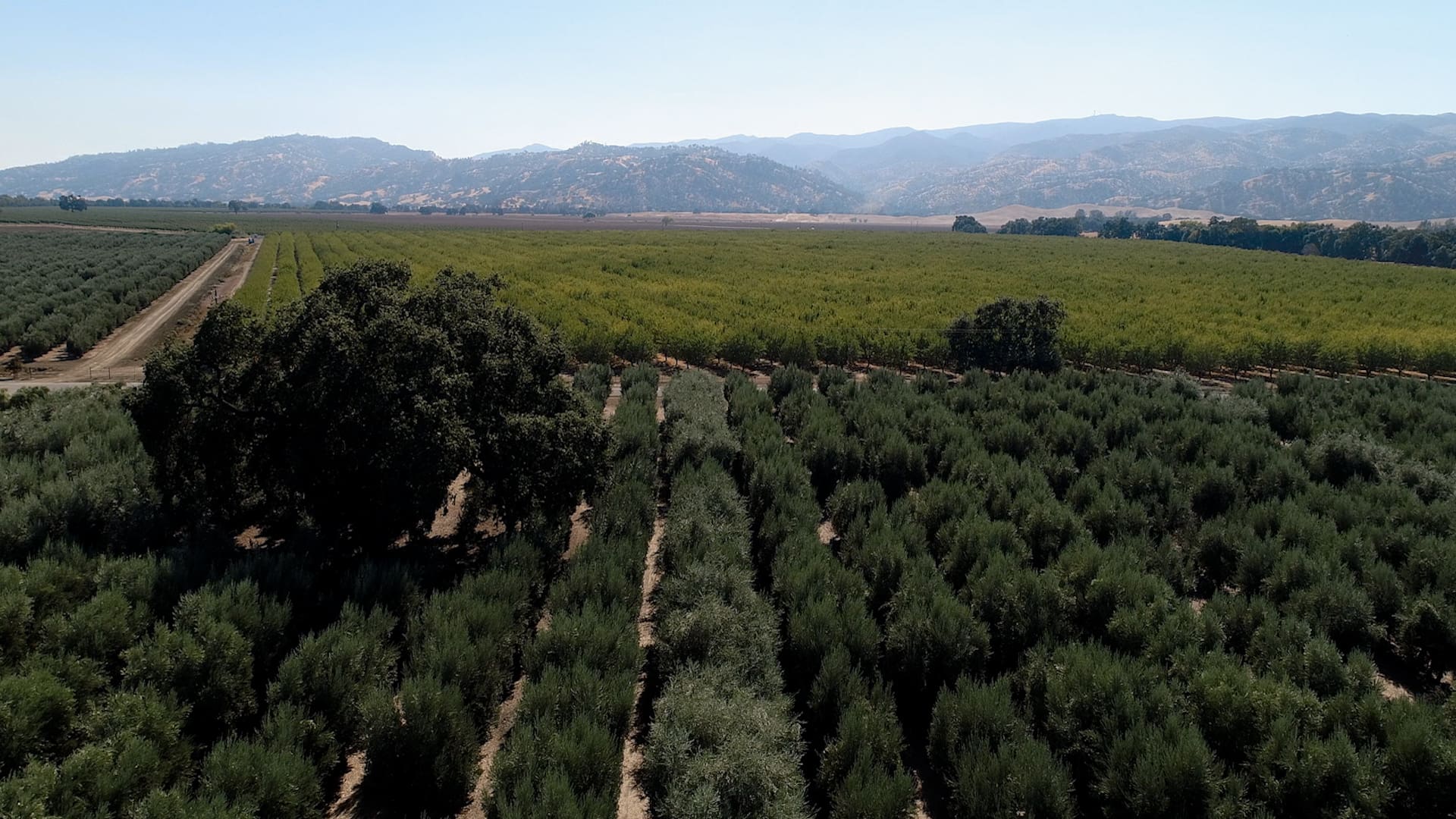 Agricultural land in Yolo County