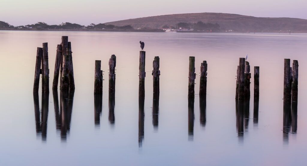purple haze over water