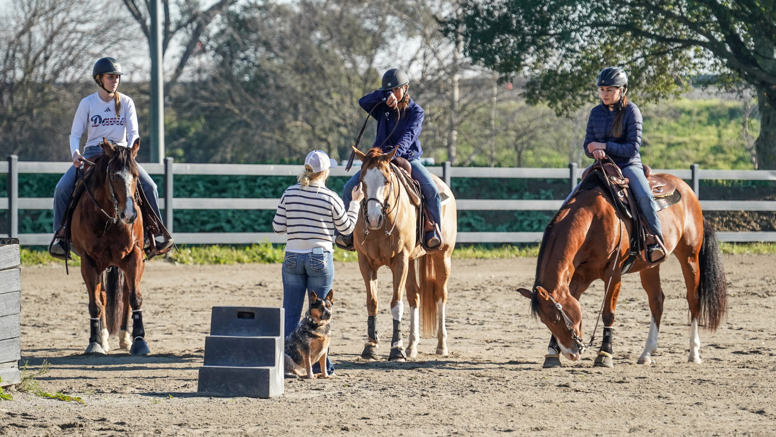 Women on horses