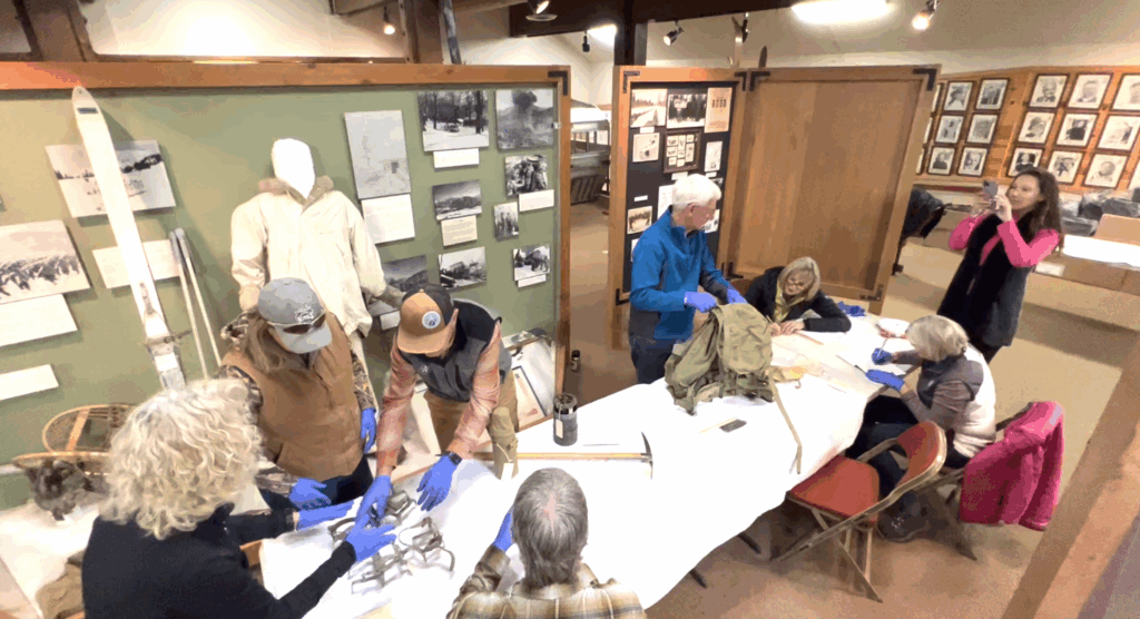 group organizes archives